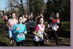 Begles 15.12.13 01 463 * 679 x 453 * (161KB)